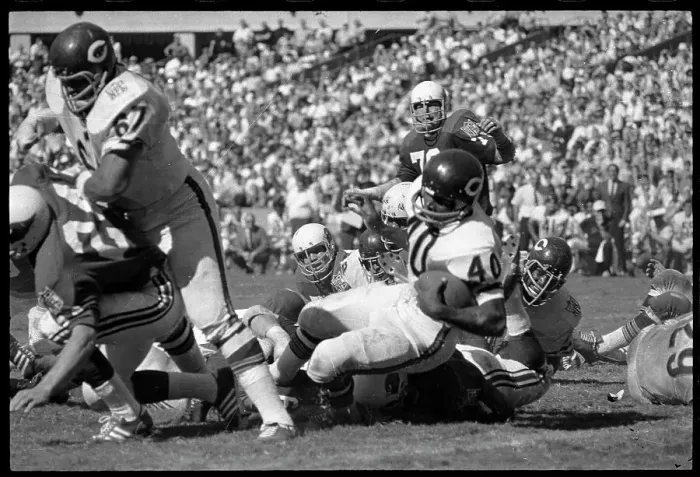 Framed Print : Gale Sayers is Taken Down by the St. Louis Defense Framed Print : Gale Sayers is Taken Down by the St. Louis Defense