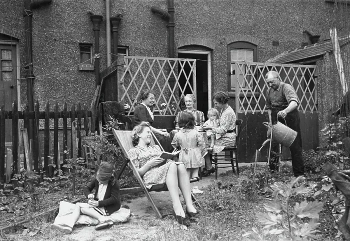 Framed Print : Back Garden Framed Print : Back Garden