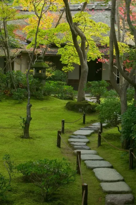 Framed Print : Garden detail, Kyoto, Honshu, Japan Framed Print : Garden detail, Kyoto, Honshu, Japan