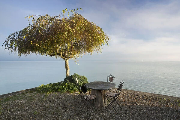 Garden furniture and a tree, early morning mood on Lake Constance near Landschlacht, Switzerland, Europe, PublicGround