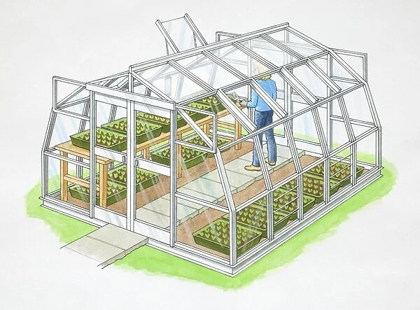 Gardener inside vegetables greenhouse made of glass and metal frame, side view