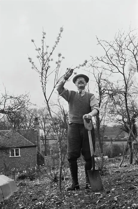 Framed Print : Gardening In Aldworth Framed Print : Gardening In Aldworth