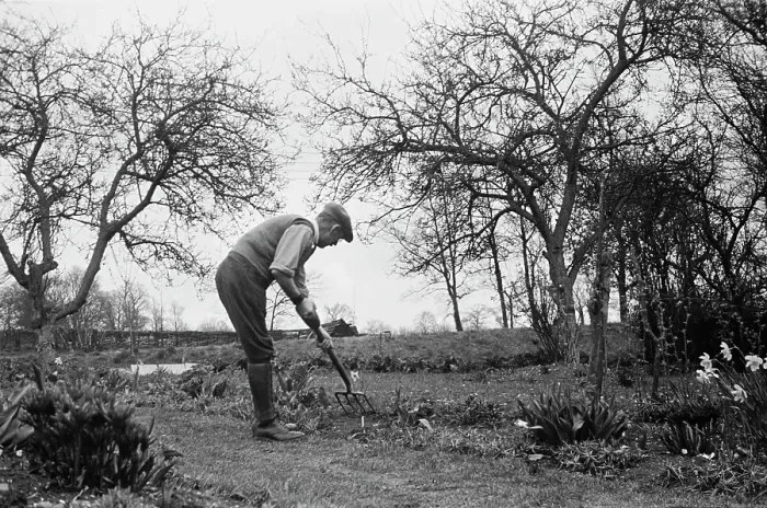 Framed Print : Gardening In Aldworth Framed Print : Gardening In Aldworth