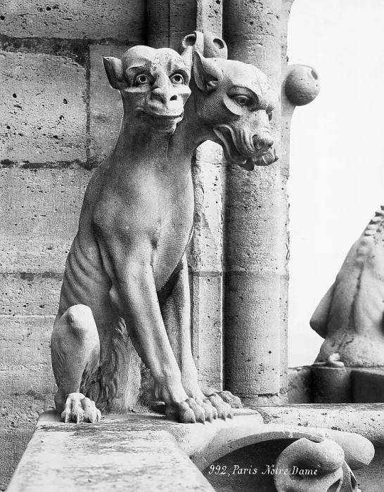 Framed Print : Gargoyle Of Cerebus At Notre Dame