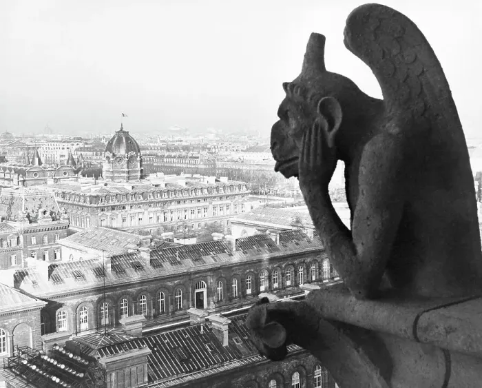 Framed Print : Gargoyle on Notre Dame Cathedral Framed Print : Gargoyle on Notre Dame Cathedral