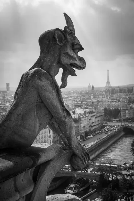 Framed Print : Gargoyle overlooking Paris Framed Print : Gargoyle overlooking Paris