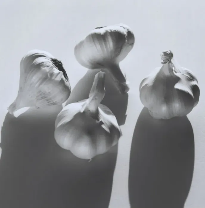 Framed Print : Garlic bulbs Framed Print : Garlic bulbs
