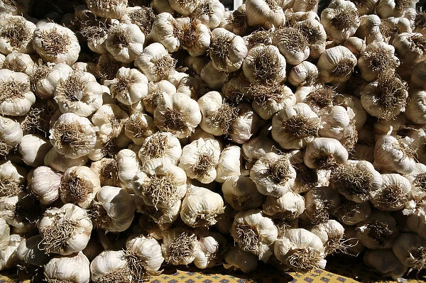 Garlic bulbs at a weekly market, Provence region, France, Europe