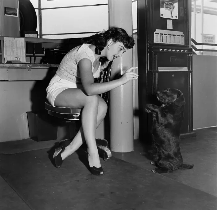 Framed Print : Gas Station Girl Framed Print : Gas Station Girl