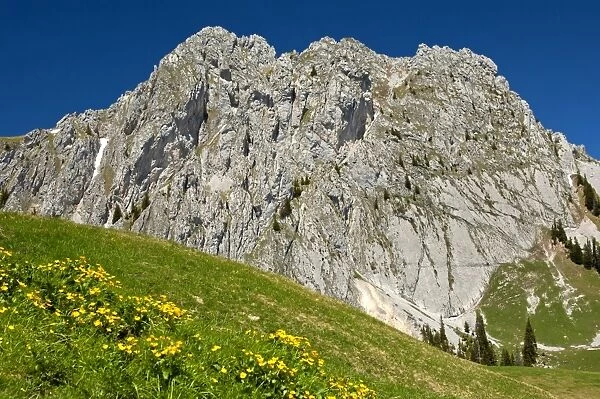 Gastlosen rocks, limestone cliffs, Ablandschen, Saanen, Canton of Bern, Switzerland
