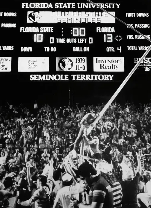 Framed Print : Gator Fans Celebrate Framed Print : Gator Fans Celebrate