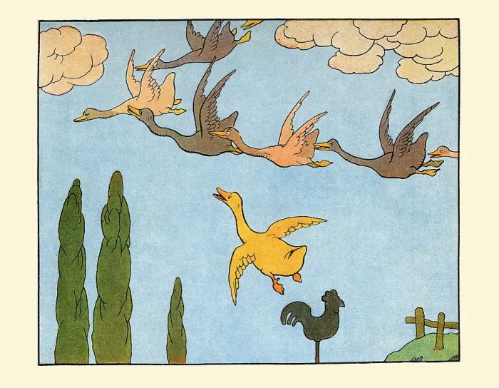 Framed Print : Gedeon Wants to Fly Buts its too Far Framed Print : Gedeon Wants to Fly Buts its too Far