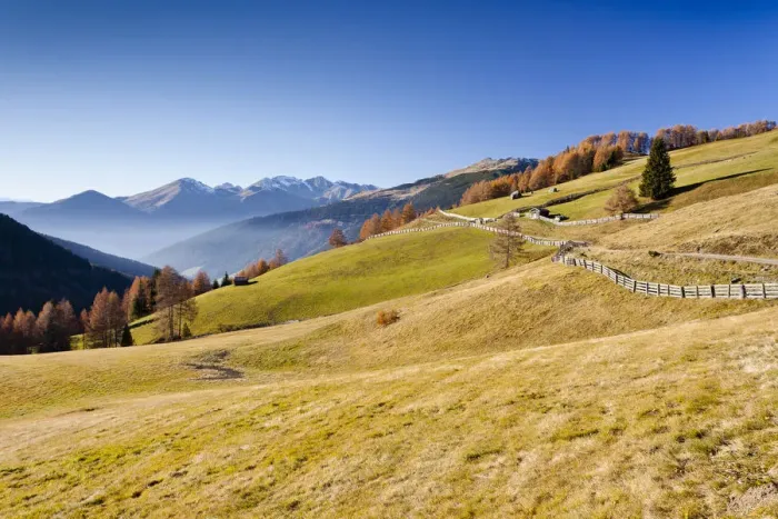 Framed Print : Gedrumalm, Getrumalm alpine meadow, behind the Sarn Valley, South Tyrol, Italy, Europe Framed Print : Gedrumalm, Getrumalm alpine meadow, behind the Sarn Valley, South Tyrol, Italy, Europe