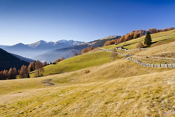 Gedrumalm, Getrumalm alpine meadow, behind the Sarn Valley, South Tyrol, Italy, Europe