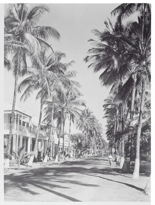 Framed Print : General View of the Avenue Jacques Tombeur