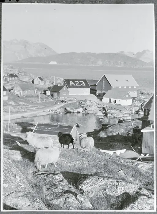 Framed Print : General View of a Town in Greenland Framed Print : General View of a Town in Greenland