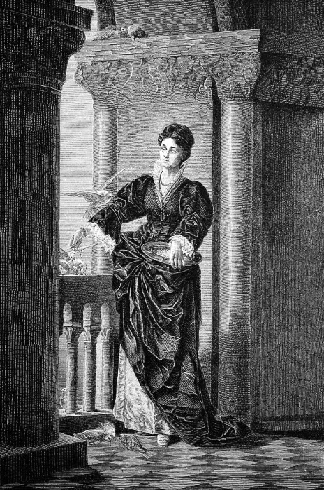 Framed Print : Gentlewoman from Venice, Italy, in 1870, Historical, Digital Reproduction of an Original 19th century Original Framed Print : Gentlewoman from Venice, Italy, in 1870, Historical, Digital Reproduction of an Original 19th century Original