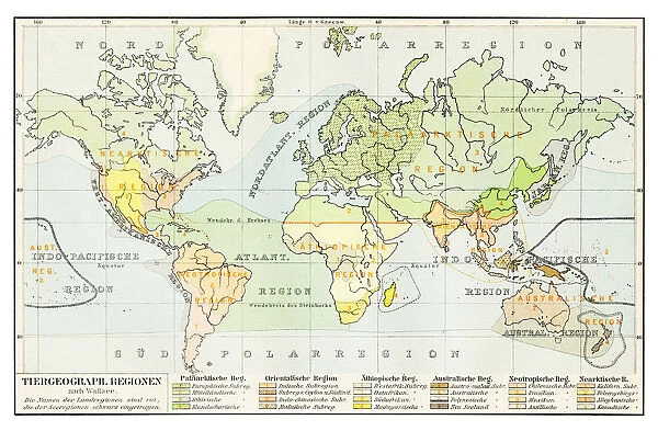 Geographical distribution of animals map 1895