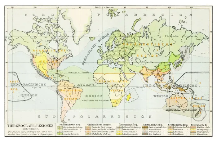 Framed Print : Geographical distribution of animals map 1895 Framed Print : Geographical distribution of animals map 1895
