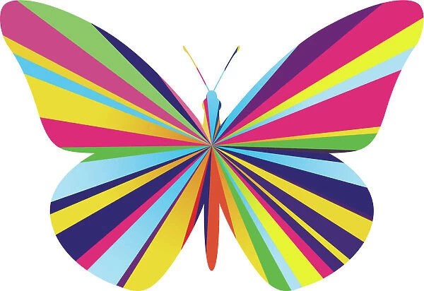 Geometric Rainbow Coloured Butterfly