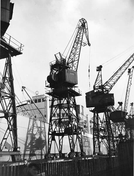 George V Dock Goose-Necked Cranes