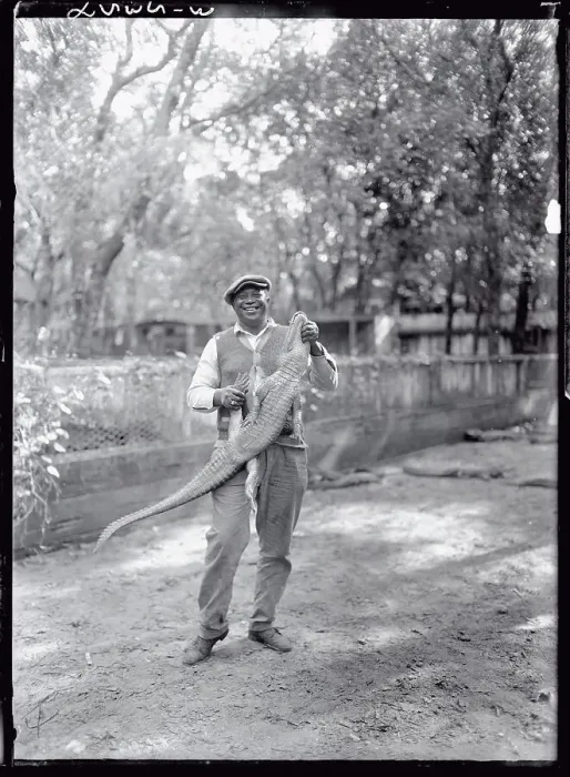 Framed Print : George Woods Holding Pet Alligator Framed Print : George Woods Holding Pet Alligator