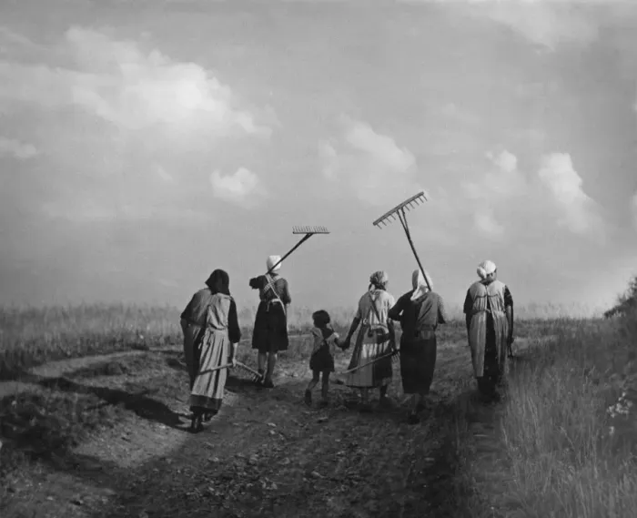 Framed Print : German Farming Framed Print : German Farming