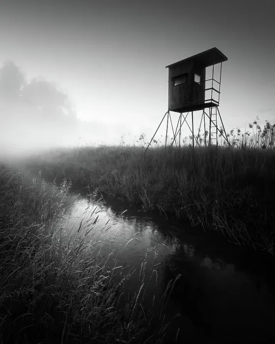 Framed Print : German floodplain landscape in Brandenburg with high seat on the Nuthe in black and white, Luckenwalde, Germany Framed Print : German floodplain landscape in Brandenburg with high seat on the Nuthe in black and white, Luckenwalde, Germany