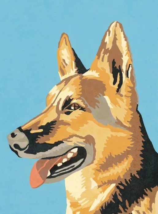 Framed Print : German Shepherd Framed Print : German Shepherd