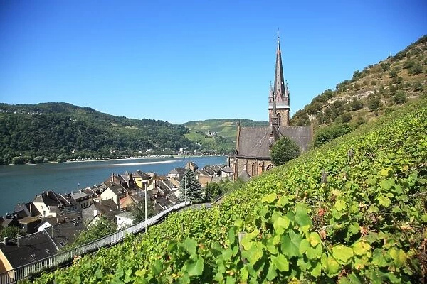 Germany, Rhineland-Palatinate (Rheinland-Pfalz), Lorch, Upper Middle Rhine Valley, UNESCO World Heritage