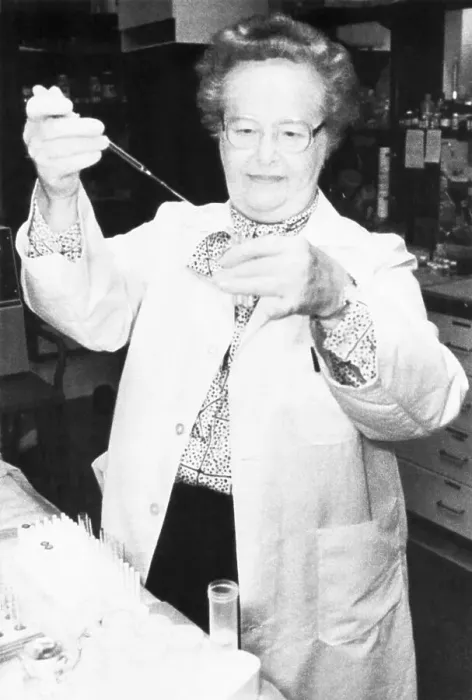 Framed Print : Gertrude Elion Working in Laboratory Framed Print : Gertrude Elion Working in Laboratory
