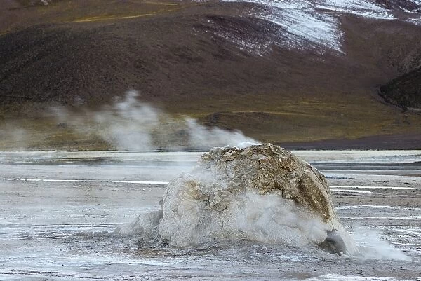 Geyser, geyserite vent releasing steam, El Tatio, the highest geyser field in the world, Antofagasta, on the edge of the Atacama Desert, Chile