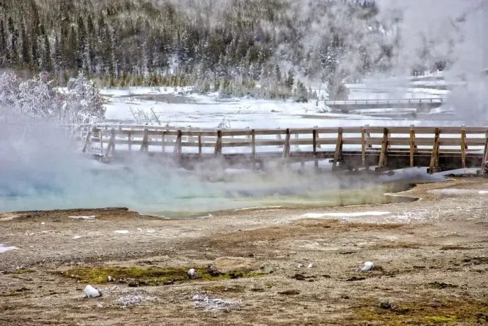 Framed Print : Geyser, Yellowstone National Park Framed Print : Geyser, Yellowstone National Park