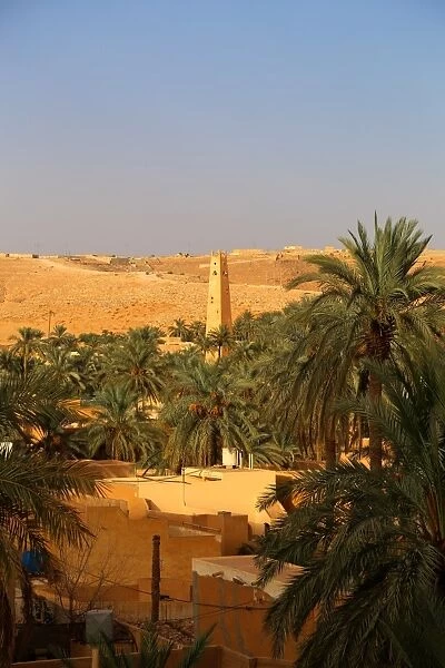GhardaAOa. View from the historical town of GhardaAOa, Algeria
