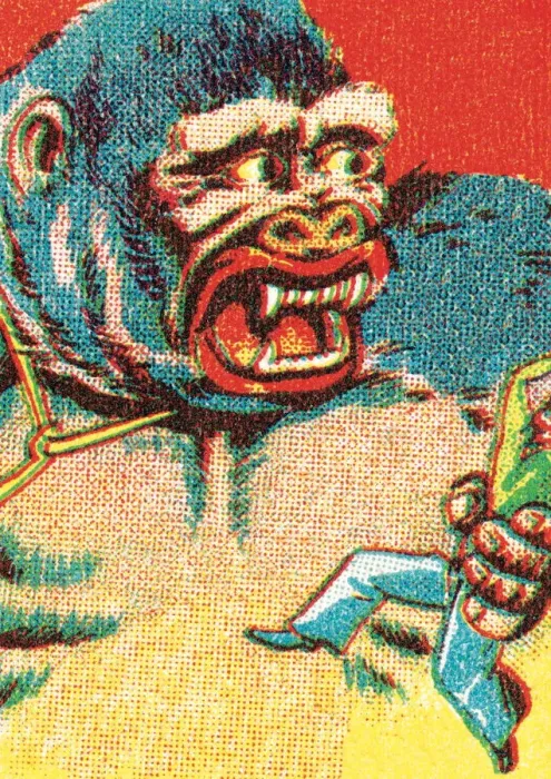 Framed Print : Giant gorilla Framed Print : Giant gorilla