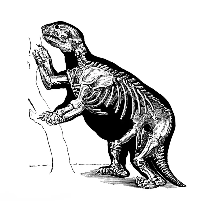 Framed Print : Giant ground sloth, Megatherium