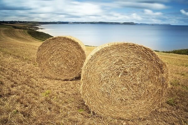 Giant hay stack