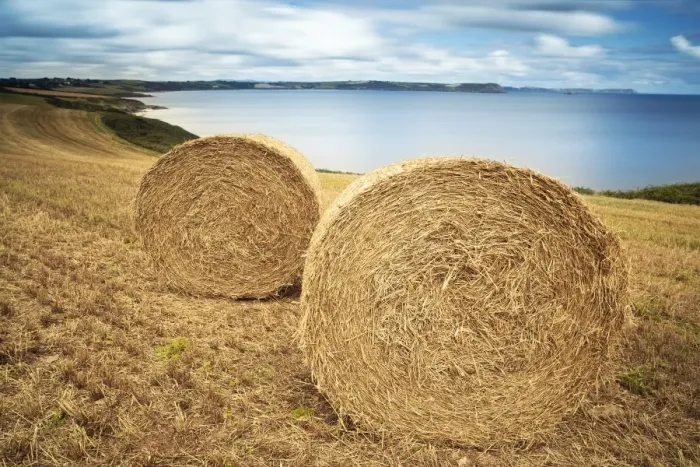 Framed Print : Giant hay stack Framed Print : Giant hay stack
