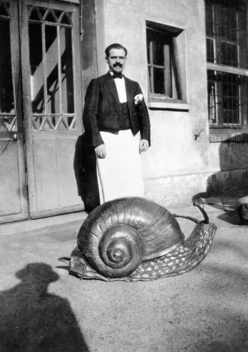 Framed Print : Giant Snail Made of Papier Mache Framed Print : Giant Snail Made of Papier Mache