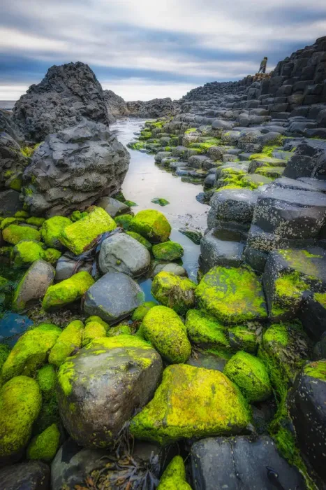 Framed Print : The Giants Causeway Framed Print : The Giants Causeway