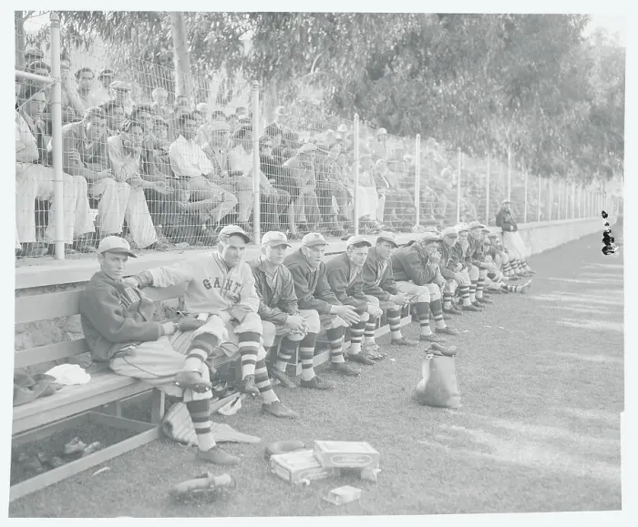 Framed Print : Giants on Sidelines During Game Framed Print : Giants on Sidelines During Game