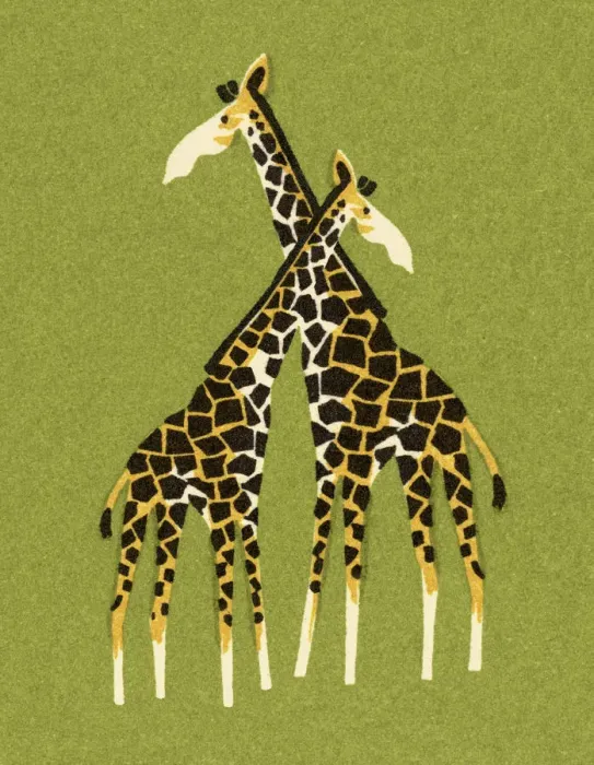 Framed Print : Two Giraffes Framed Print : Two Giraffes