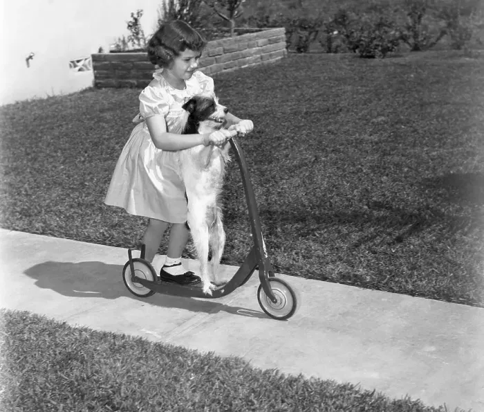 Framed Print : Girl (6-7) on scooter with dog