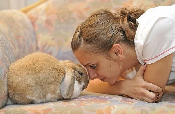 Girl cuddling with a European Dwarf Rabbit (Oryctolagus cuniculus), animal love