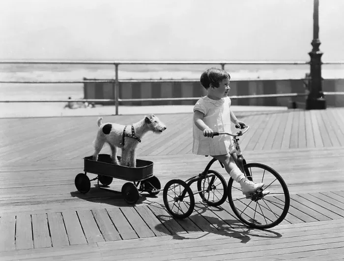 Framed Print : Girl cycling (4-5) with dog on trailer Framed Print : Girl cycling (4-5) with dog on trailer