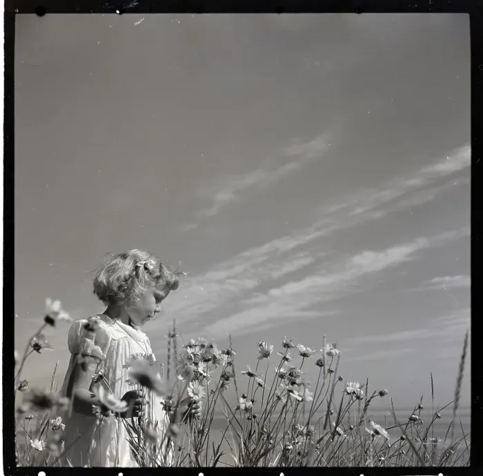 Framed Print : Girl in Daisy Field Framed Print : Girl in Daisy Field