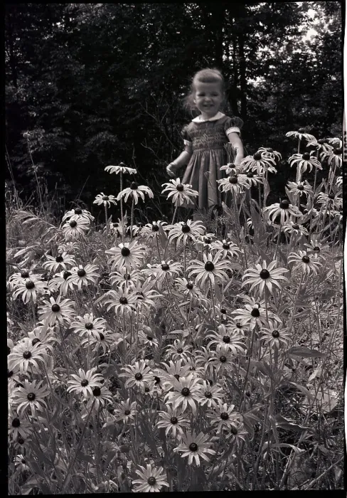 Framed Print : Girl in Daisy Field Framed Print : Girl in Daisy Field