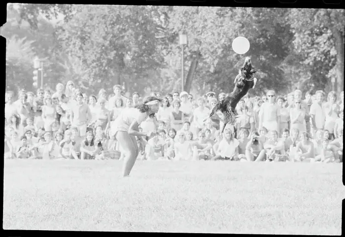 Framed Print : Girl and Her Dog Performing at Frisbee Festival Framed Print : Girl and Her Dog Performing at Frisbee Festival