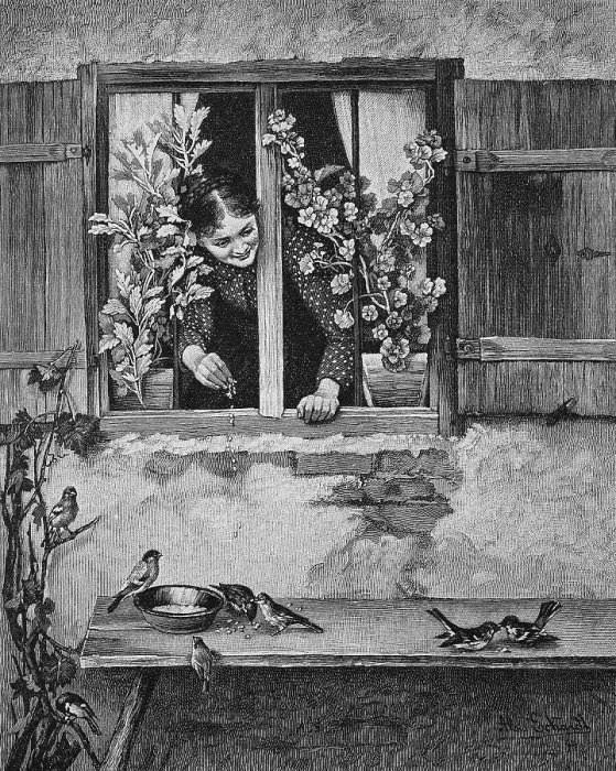 Framed Print : Girl feeding birds, scattering food from the window, 1888, Germany, Historic, digital reproduction of an original 19th-century painting Framed Print : Girl feeding birds, scattering food from the window, 1888, Germany, Historic, digital reproduction of an original 19th-century painting