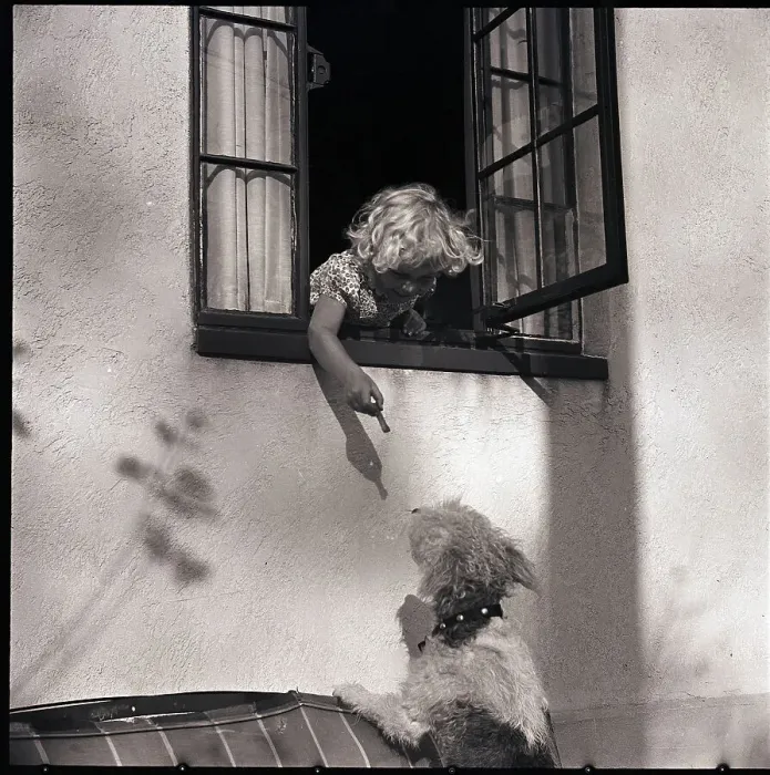 Framed Print : Girl Feeding Dog Through Window Framed Print : Girl Feeding Dog Through Window
